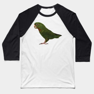 red-throated parakeet Baseball T-Shirt